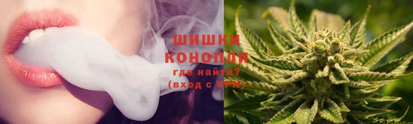 бошки Богородицк