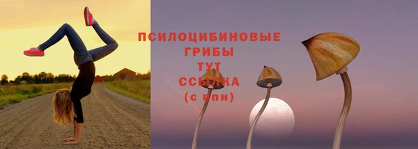 скорость mdpv Богданович
