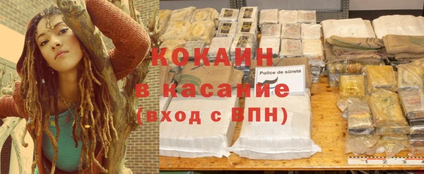 твердый Бородино